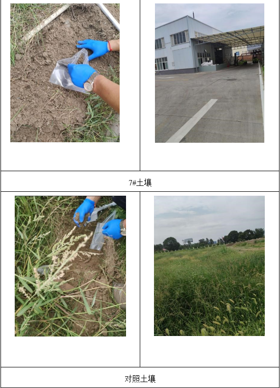 &#31859;&#20848;&#23448;&#26041;&#31449;&#32593;&#39029;&#29256;&#45;&#31859;&#20848;&#77;&#105;&#76;&#97;&#110;&#40;&#20013;&#22269;&#41;